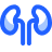 icon Micro Albumin