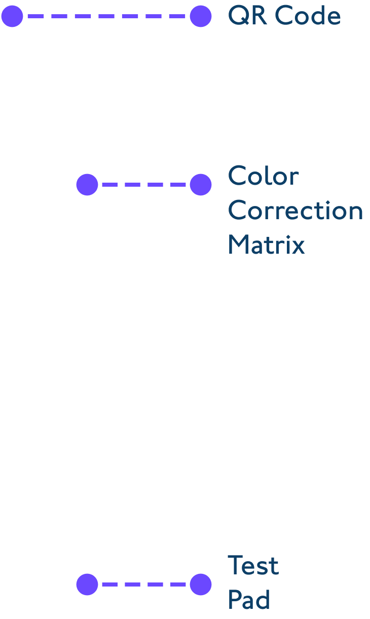 anatomy mark
